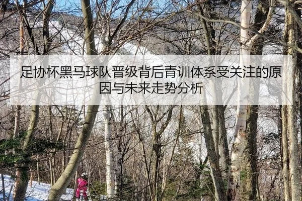 zu-xie-bei-hei-ma-qiu-dui-jin-ji-bei-hou-qing-xun-ti-xi-shou-guan-zhu-de-yuan-yin-yu-wei-lai-zou-shi-fen-xi-2-246.jpg
